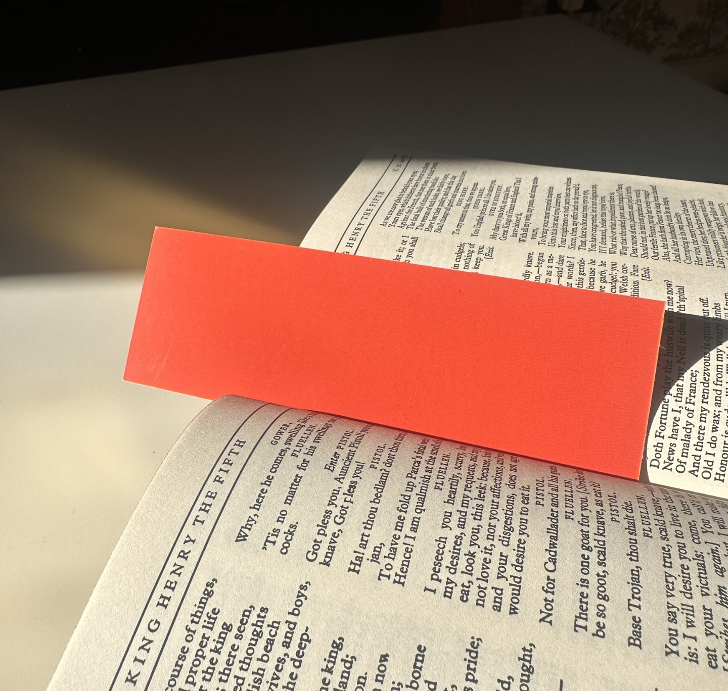 Bookmark: Dictionary Words